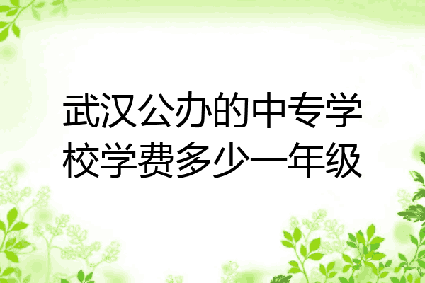 武汉公办的中专学校学费多少一年级