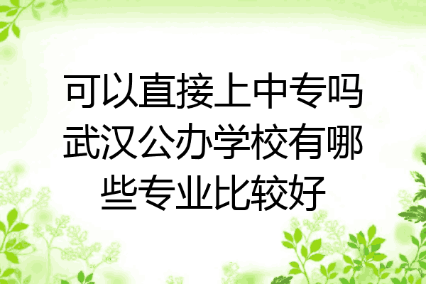可以直接上中专吗武汉公办学校有哪些专业比较好