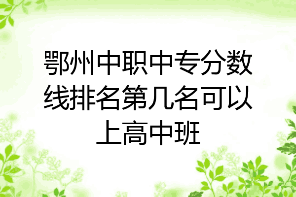 鄂州中职中专分数线排名第几名可以上高中班