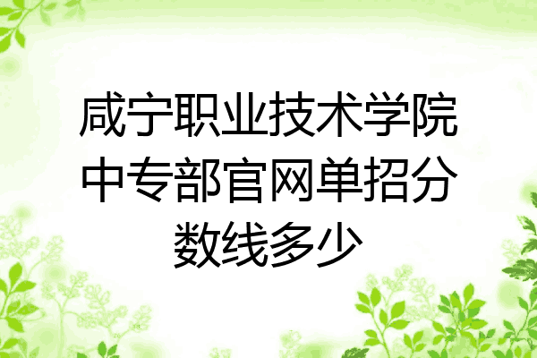 咸宁职业技术学院中专部官网单招分数线多少