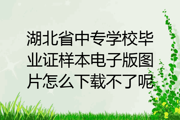 湖北省中专学校毕业证样本电子版图片怎么下载不了呢