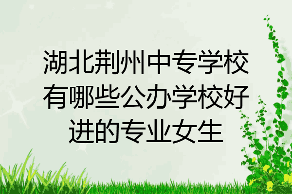 湖北荆州中专学校有哪些公办学校好进的专业女生