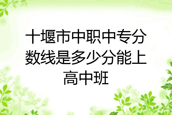十堰市中职中专分数线是多少分能上高中班