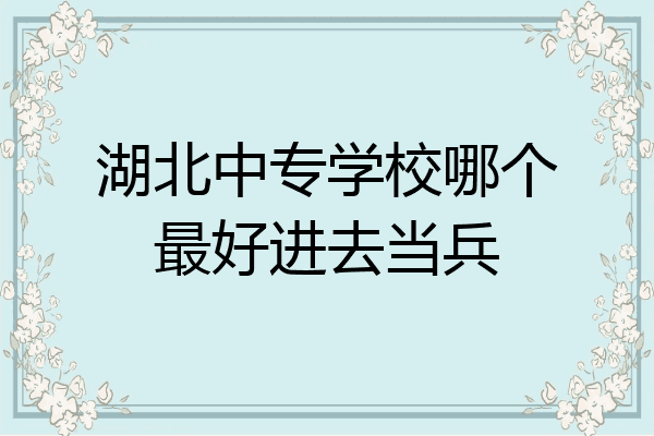 湖北中专学校哪个最好进去当兵