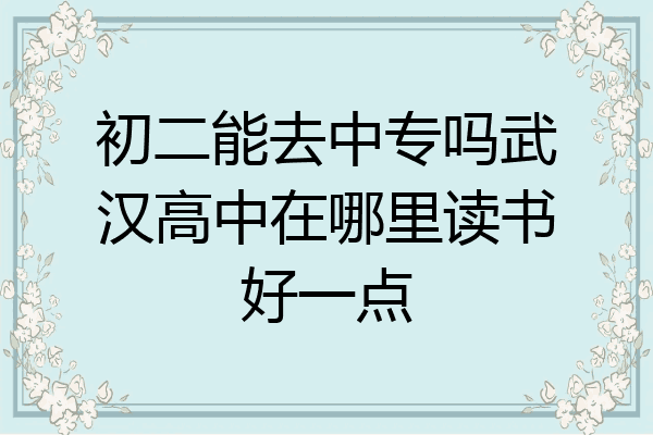 初二能去中专吗武汉高中在哪里读书好一点