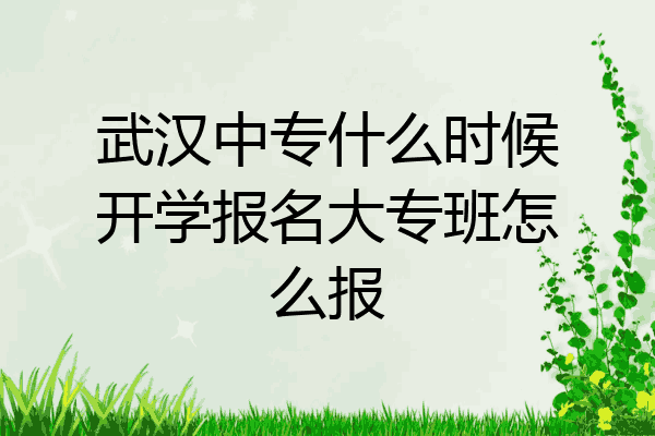 武汉中专什么时候开学报名大专班怎么报