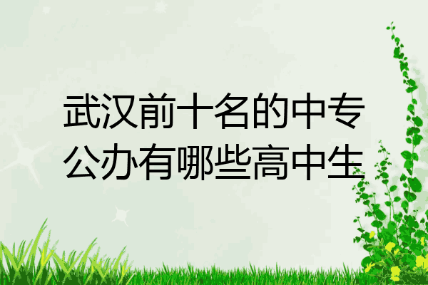 武汉前十名的中专公办有哪些高中生