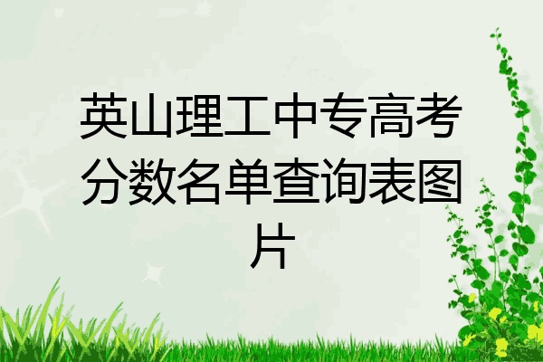 英山理工中专高考分数名单查询表图片