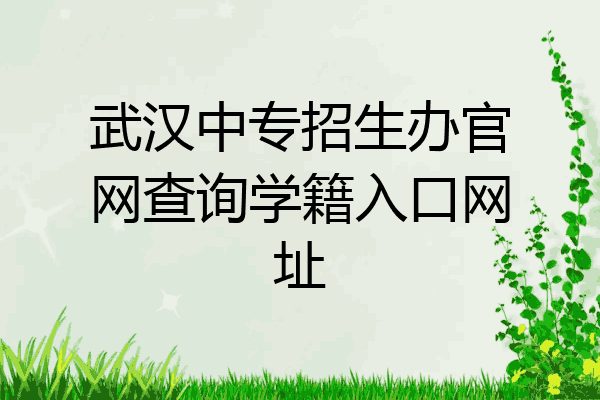 武汉中专招生办官网查询学籍入口网址