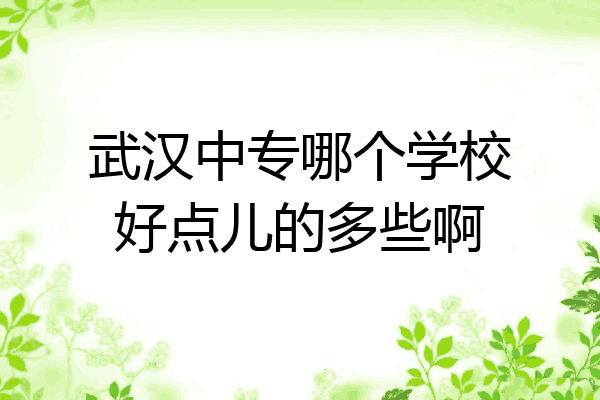 武汉中专哪个学校好点儿的多些啊