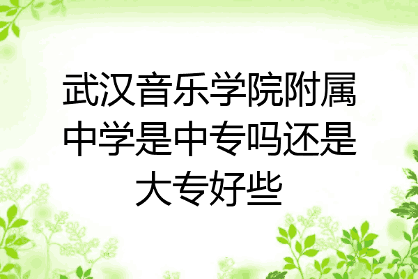 武汉音乐学院附属中学是中专吗还是大专好些
