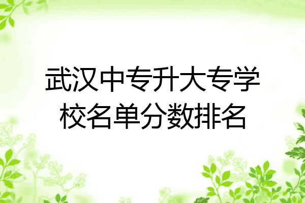 武汉中专升大专学校名单分数排名