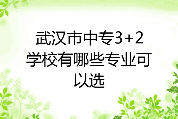 武汉市中专3+2学校有哪些专业可以选