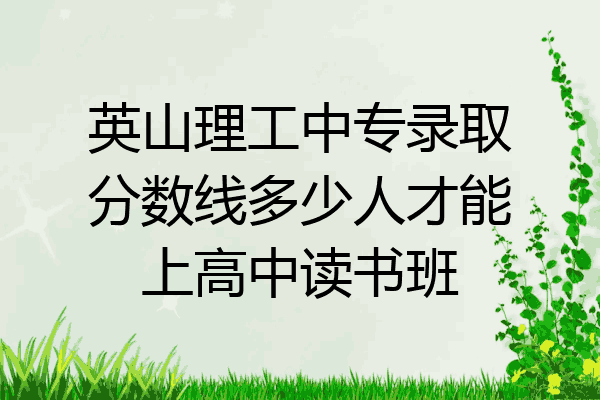 英山理工中专录取分数线多少人才能上高中读书班