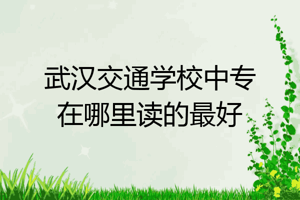 武汉交通学校中专在哪里读的最好