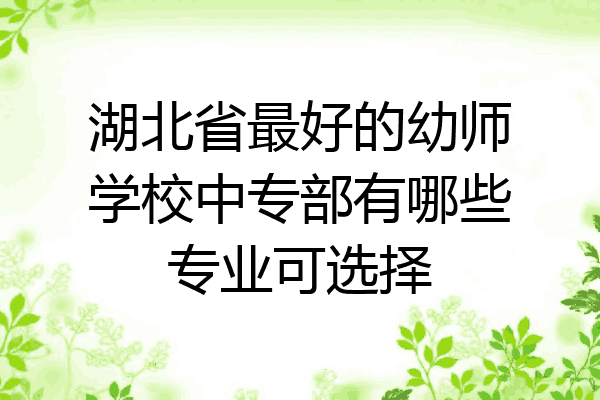 湖北省最好的幼师学校中专部有哪些专业可选择