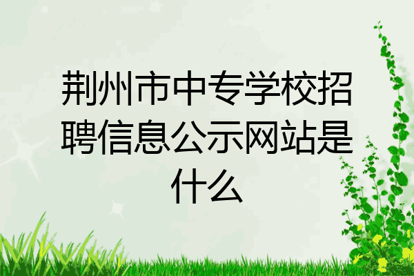 荆州市中专学校招聘信息公示网站是什么