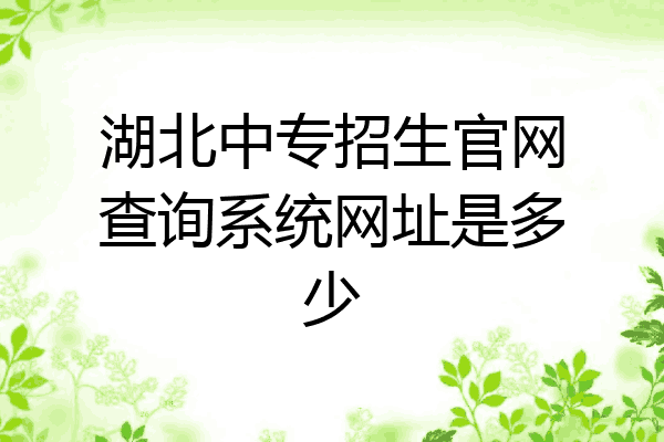 湖北中专招生官网查询系统网址是多少