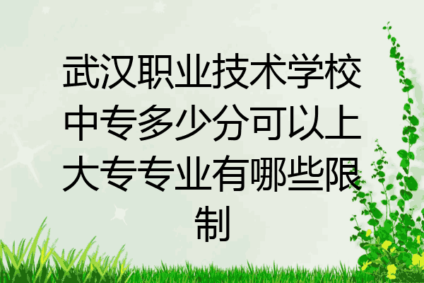 武汉职业技术学校中专多少分可以上大专专业有哪些限制
