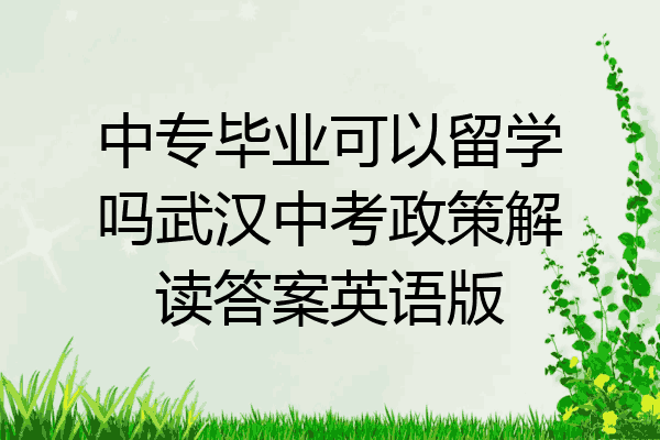 中专毕业可以留学吗武汉中考政策解读答案英语版