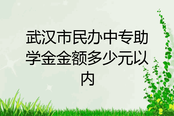 武汉市民办中专助学金金额多少元以内