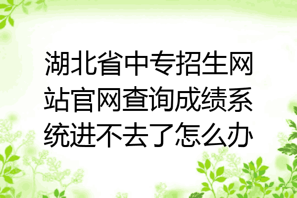 湖北省中专招生网站官网查询成绩系统进不去了怎么办