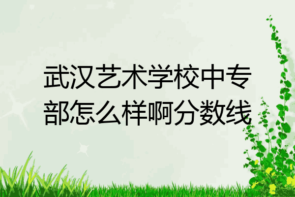 武汉艺术学校中专部怎么样啊分数线