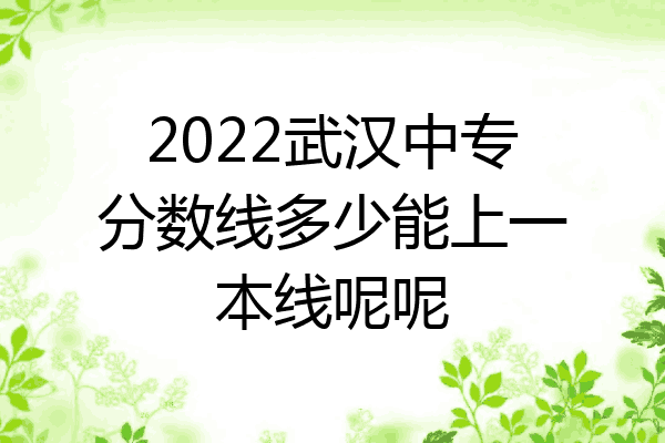 2022武汉中专分数线多少能上一本线呢呢