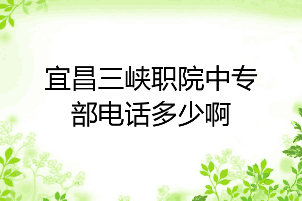 宜昌三峡职院中专部电话多少啊