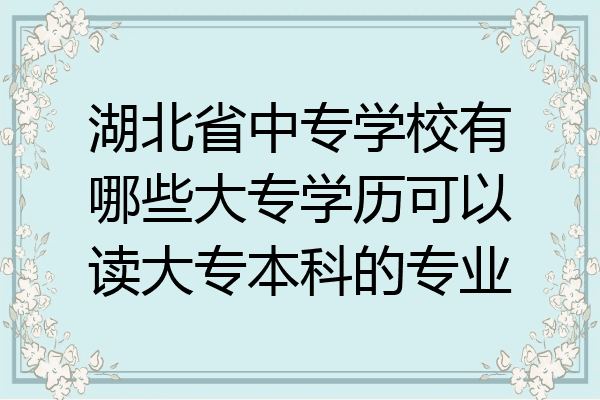 湖北省中专学校有哪些大专学历可以读大专本科的专业