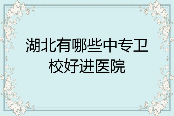 湖北有哪些中专卫校好进医院
