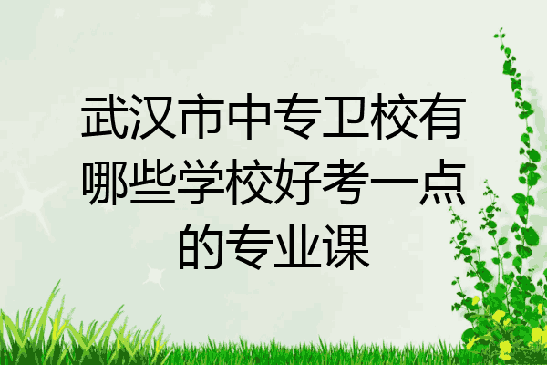 武汉市中专卫校有哪些学校好考一点的专业课