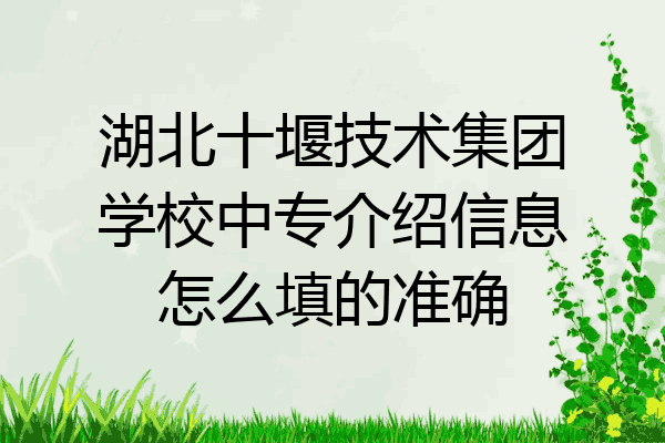 湖北十堰技术集团学校中专介绍信息怎么填的准确