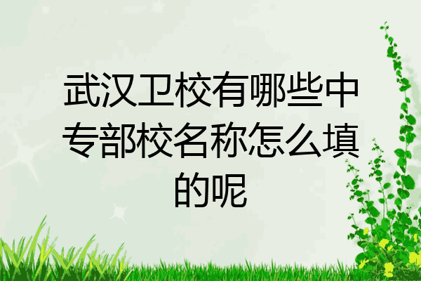 武汉卫校有哪些中专部校名称怎么填的呢