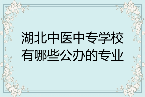 湖北中医中专学校有哪些公办的专业