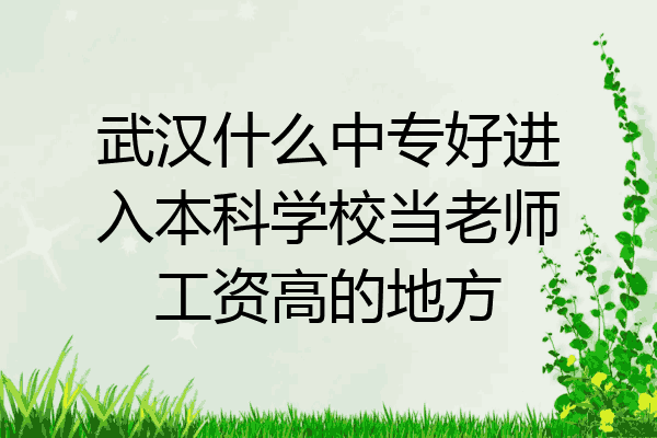 武汉什么中专好进入本科学校当老师工资高的地方