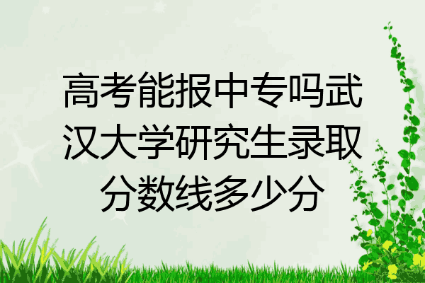 高考能报中专吗武汉大学研究生录取分数线多少分