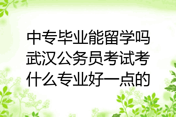 中专毕业能留学吗武汉公务员考试考什么专业好一点的