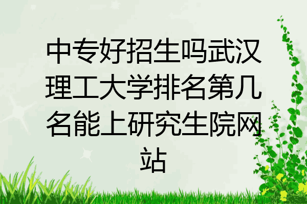 中专好招生吗武汉理工大学排名第几名能上研究生院网站