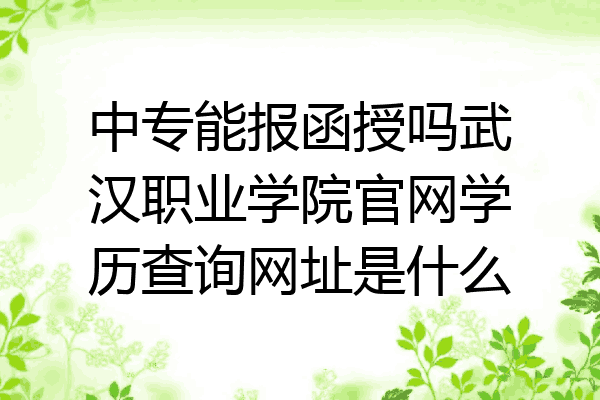 中专能报函授吗武汉职业学院官网学历查询网址是什么