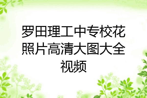 罗田理工中专校花照片高清大图大全视频