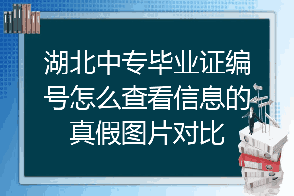 湖北中专毕业证编号怎么查看信息的真假图片对比