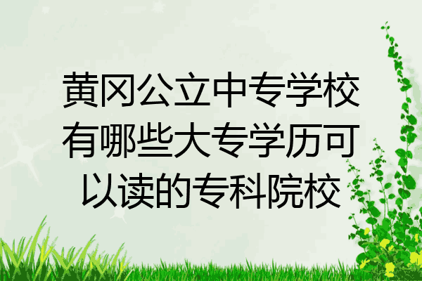 黄冈公立中专学校有哪些大专学历可以读的专科院校