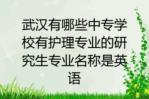 武汉有哪些中专学校有护理专业的研究生专业名称是英语