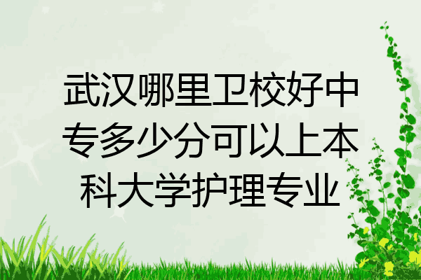 武汉哪里卫校好中专多少分可以上本科大学护理专业