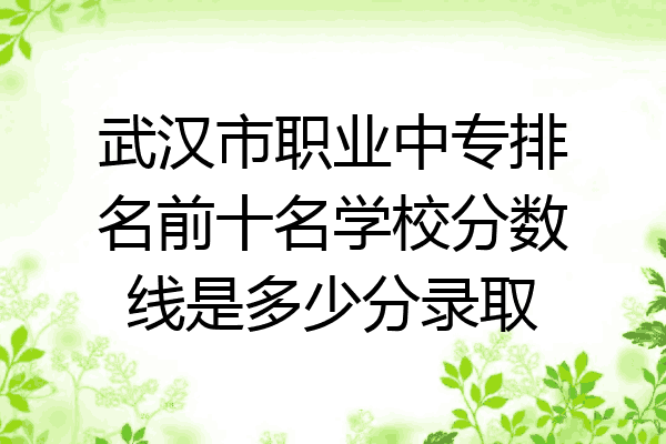 武汉市职业中专排名前十名学校分数线是多少分录取