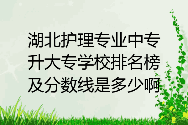 湖北护理专业中专升大专学校排名榜及分数线是多少啊