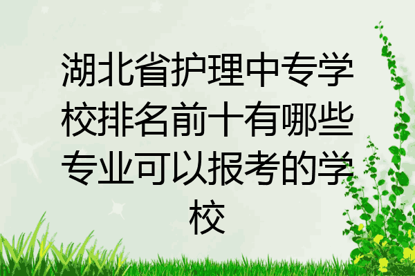 湖北省护理中专学校排名前十有哪些专业可以报考的学校