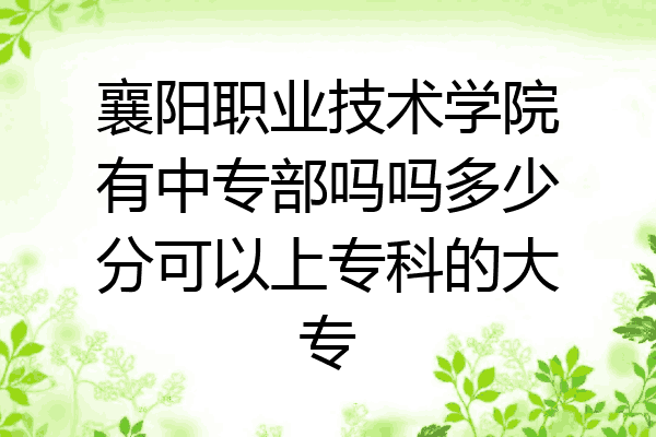 襄阳职业技术学院有中专部吗吗多少分可以上专科的大专