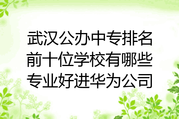 武汉公办中专排名前十位学校有哪些专业好进华为公司